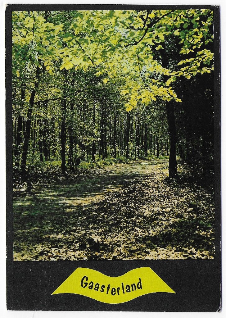 Gaasterland Gelopen Ansichtkaart (B2729), Ophalen of Verzenden, 1980 tot heden, Gelopen