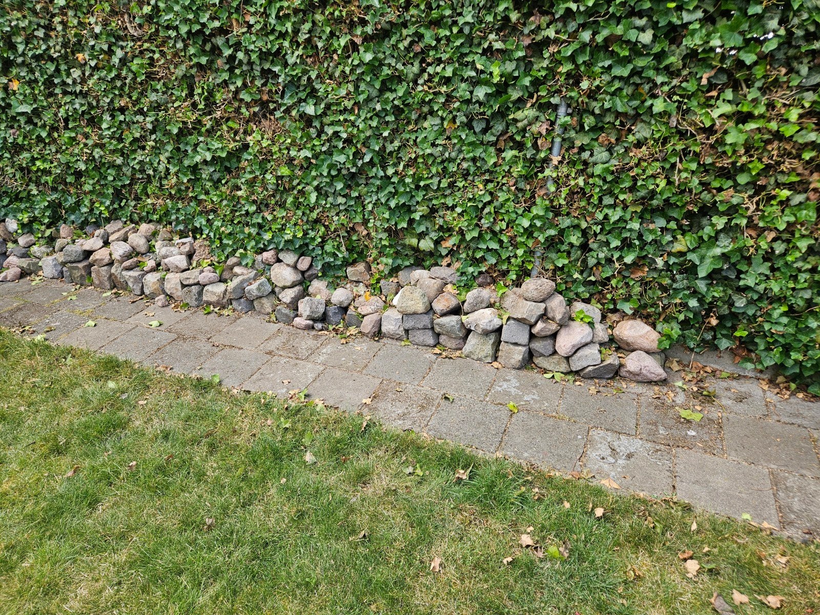 Veldkeien te koop ongeveer 100 stuks, Ophalen of Verzenden, Gebruikt, Grijs, Kei