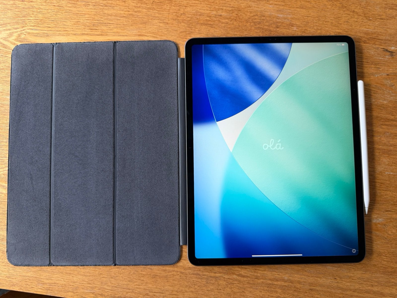 iPad Pro 12.9 inch 2018 wifi 256 GB Space Grey, Pencil, hoes, Gebruikt, 12 inch, Ophalen of Verzenden, Apple iPad Pro