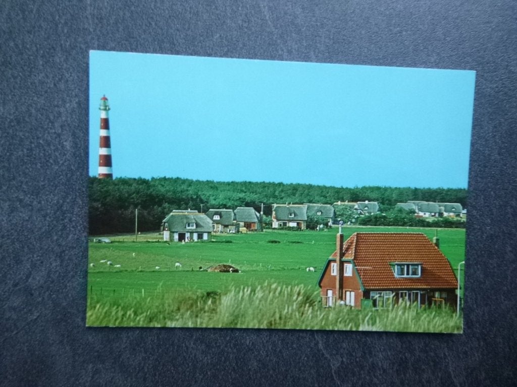 Ameland, de Bosrand (Hollum), Verzenden, 1980 tot heden, Gelopen, Waddeneilanden
