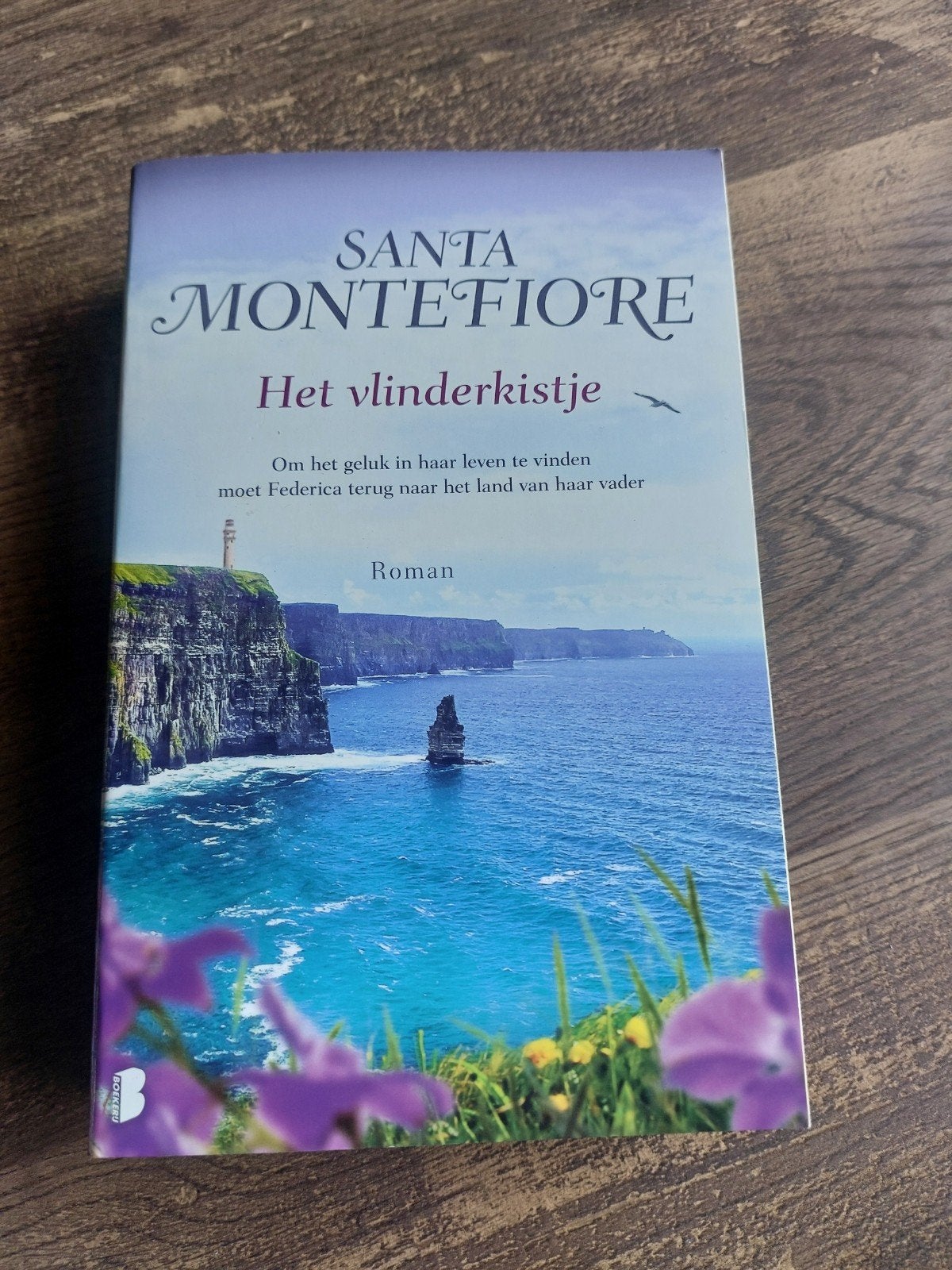 het vlinderkistje Santa Montefiore, Boeken, Romans, Verzenden, Zo goed als nieuw