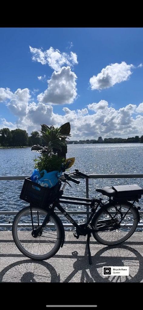 Gazelle PuurNL elektrische Herenfiets LEES OMSCHRIJVING, Fietsen en Brommers, Ophalen, Gebruikt, 49 tot 53 cm, Gazelle