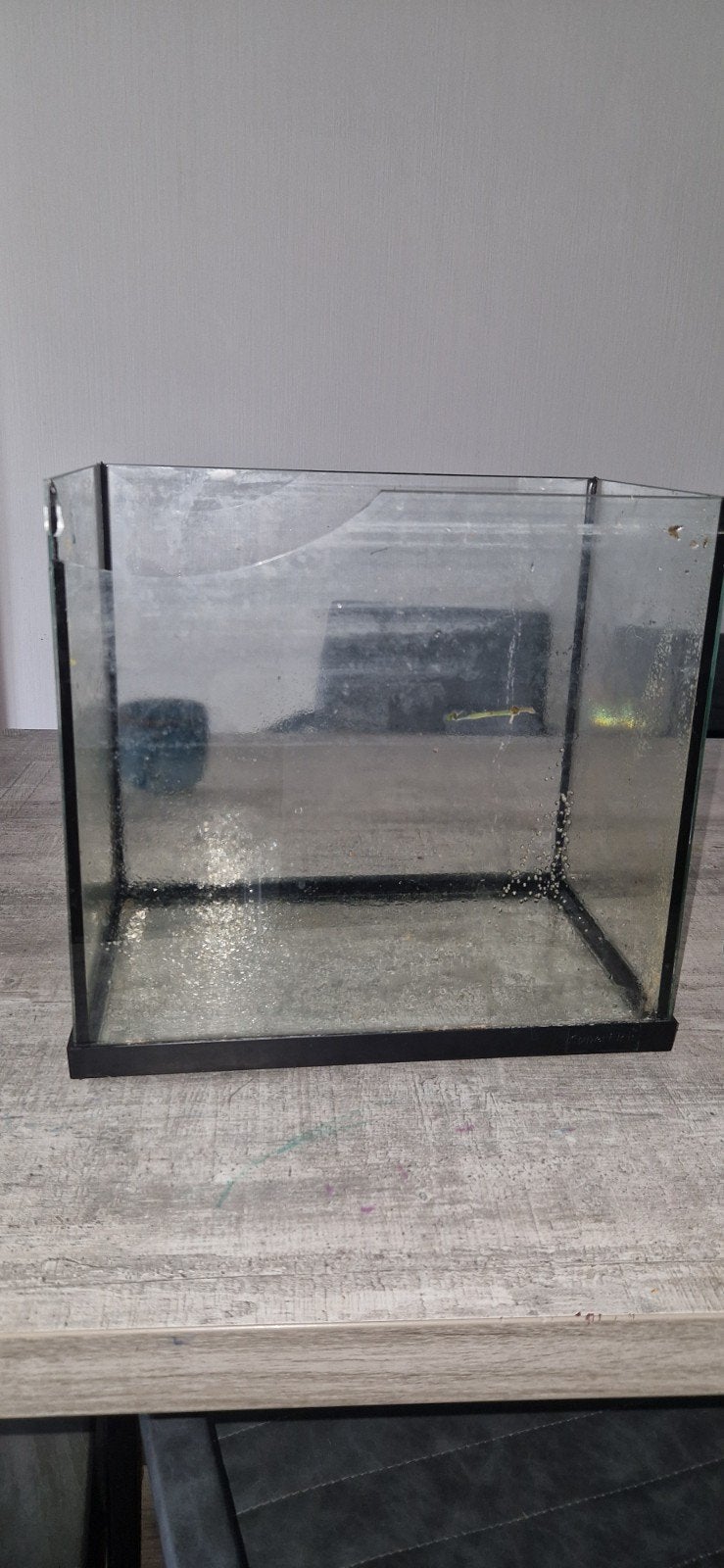 Aquarium, Dieren en Toebehoren, Ophalen of Verzenden, Leeg aquarium