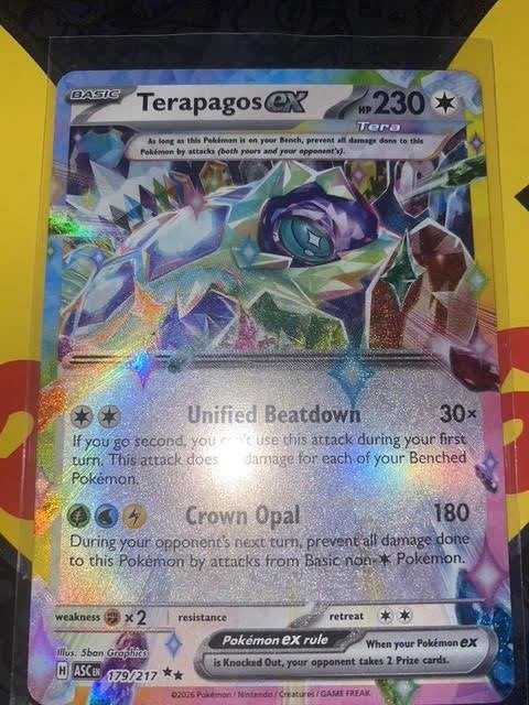 terapagos ex 179/217, Ophalen of Verzenden, Zo goed als nieuw, Losse kaart
