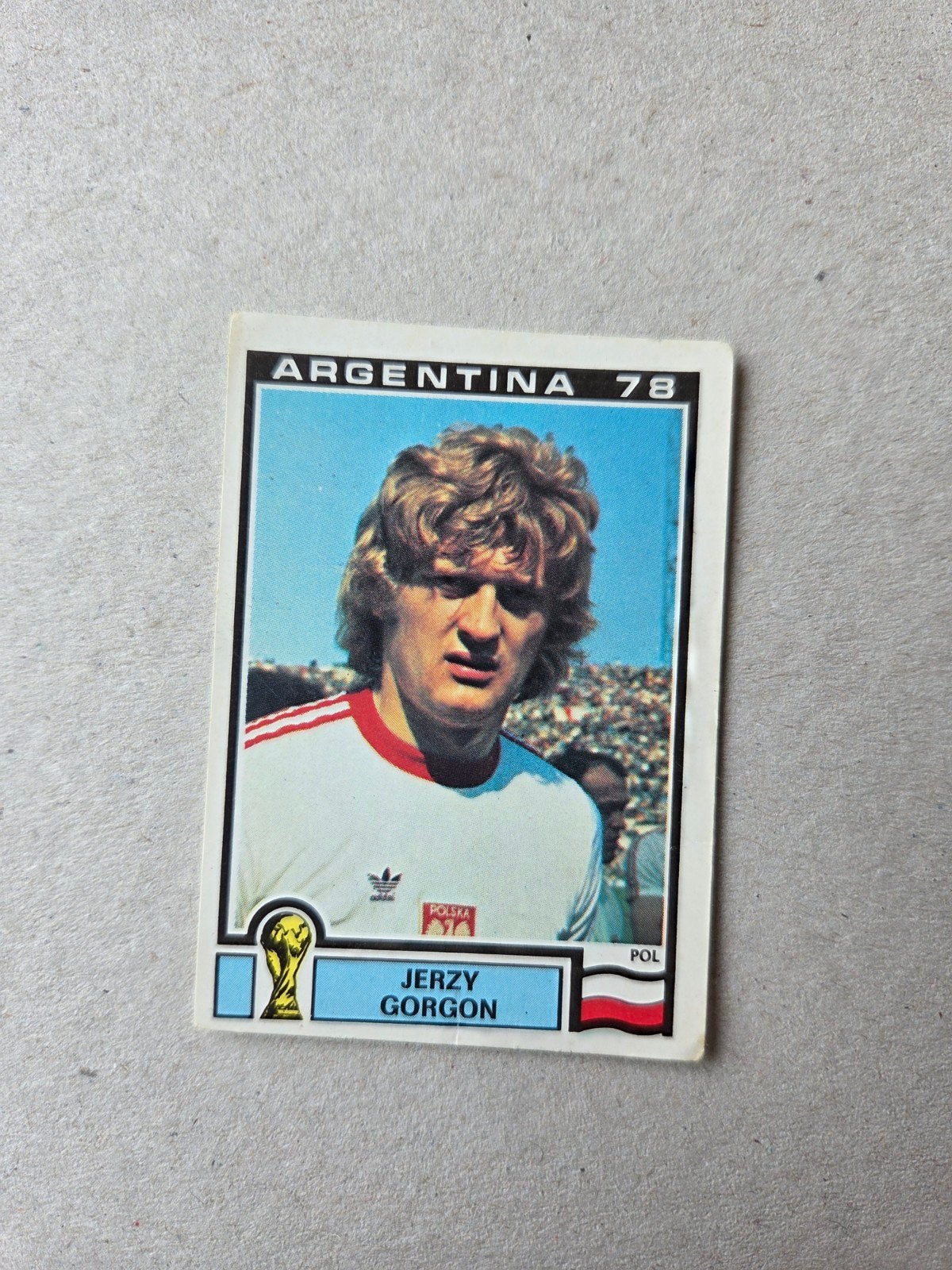 Panini WK 78, Ophalen of Verzenden, Zo goed als nieuw, Sticker