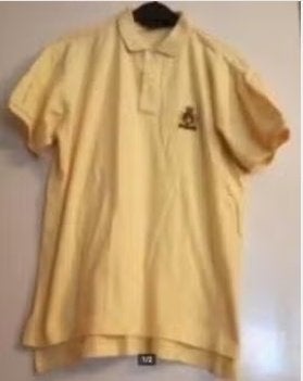 NIEUW Ralph Lauren POLO poloshirt Beige Geel S, Ophalen of Verzenden, Nieuw, Maat 46 (S) of kleiner, Geel