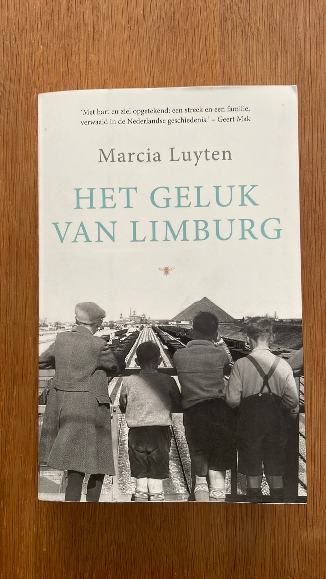Marcia Luyten - Het geluk van Limburg, Ophalen of Verzenden, Zo goed als nieuw