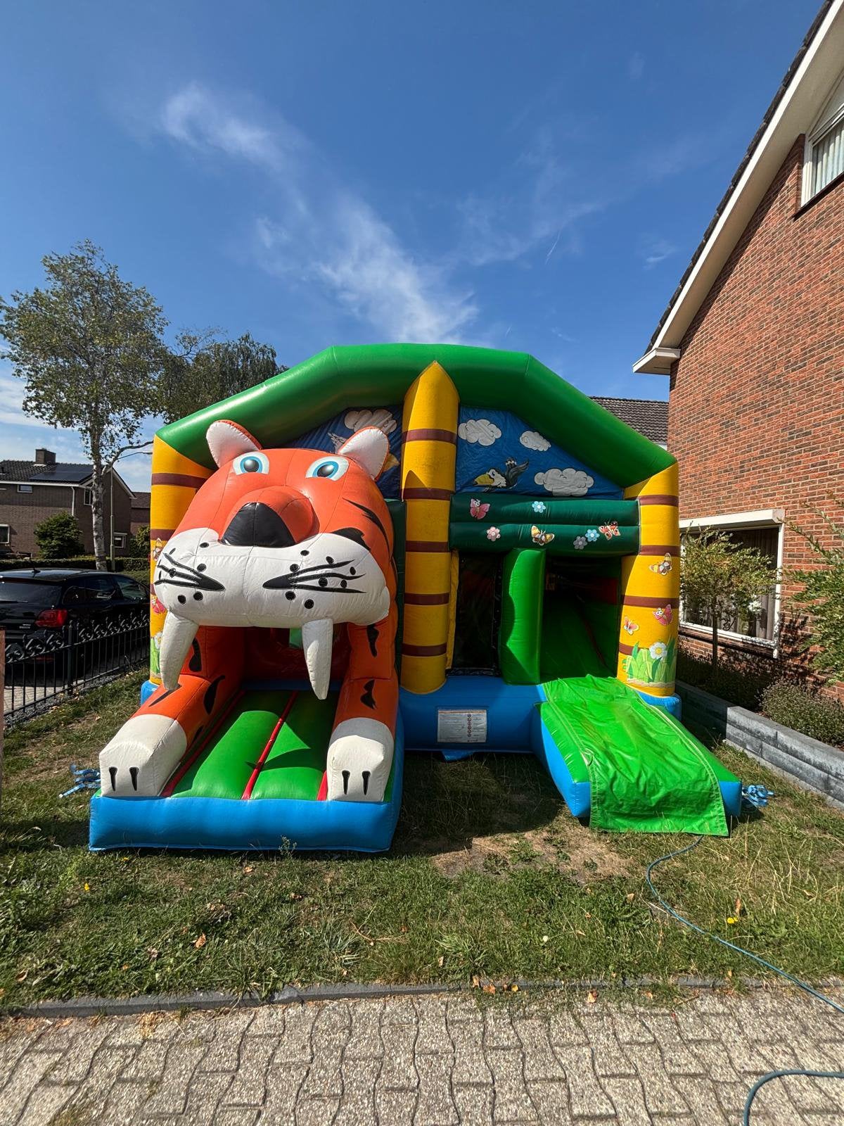 Springkussen tijger te huur🐯, Ophalen of Verzenden, Zo goed als nieuw, Overige