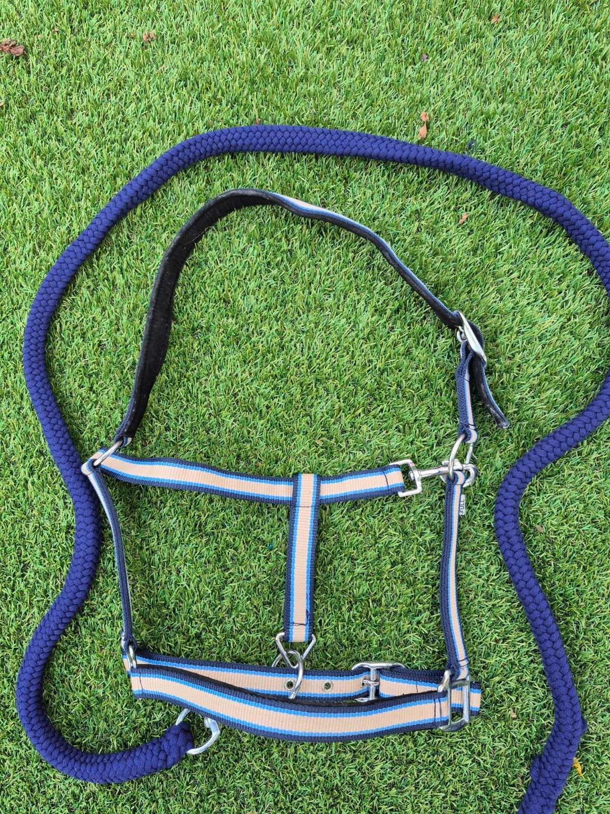 paarden halster full, Ophalen of Verzenden, Nieuw