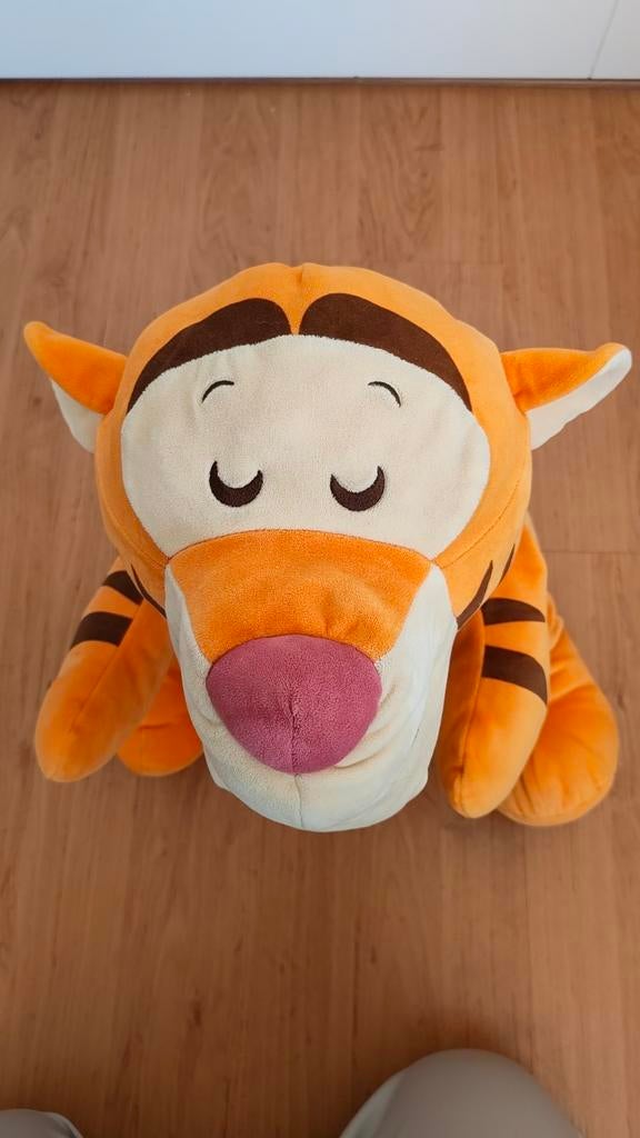 Tijgertje Winnie de Pooh knuffel, Ophalen of Verzenden