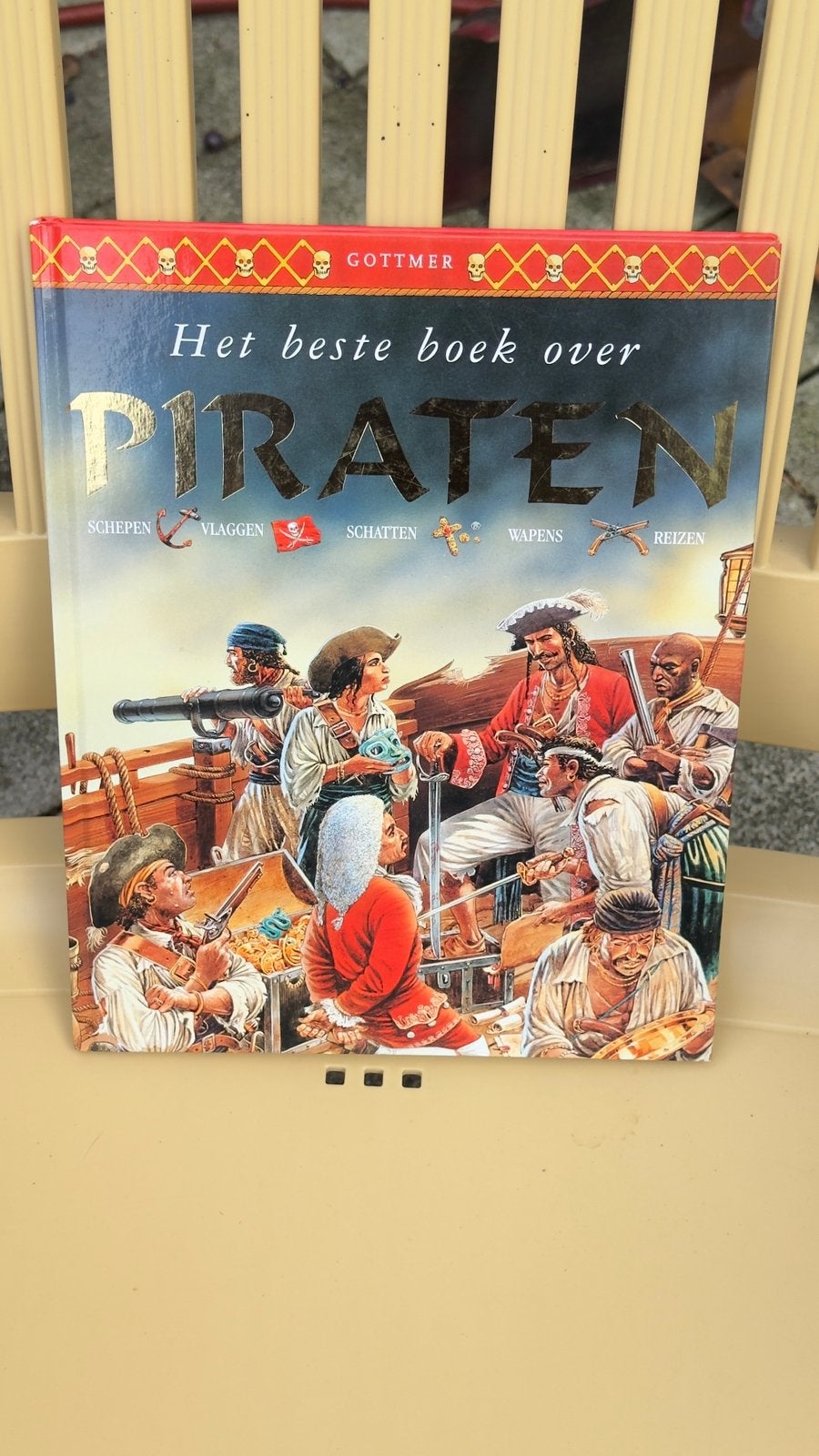 Piraten boek, Ophalen of Verzenden, Zo goed als nieuw, Non-fictie