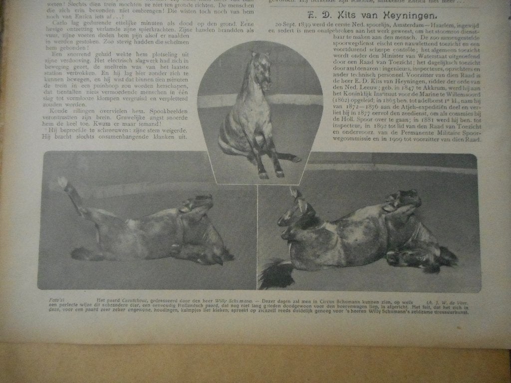 Circus Schumann. Paard Caoutchouc. 1911., Ophalen of Verzenden, Voor 1920, Knipsel(s)