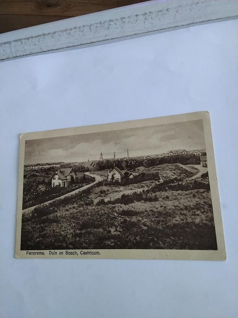 CASTRICUM. PANORAMA DUIN EN BOSCH 1925, Ophalen of Verzenden, 1920 tot 1940, Noord-Holland