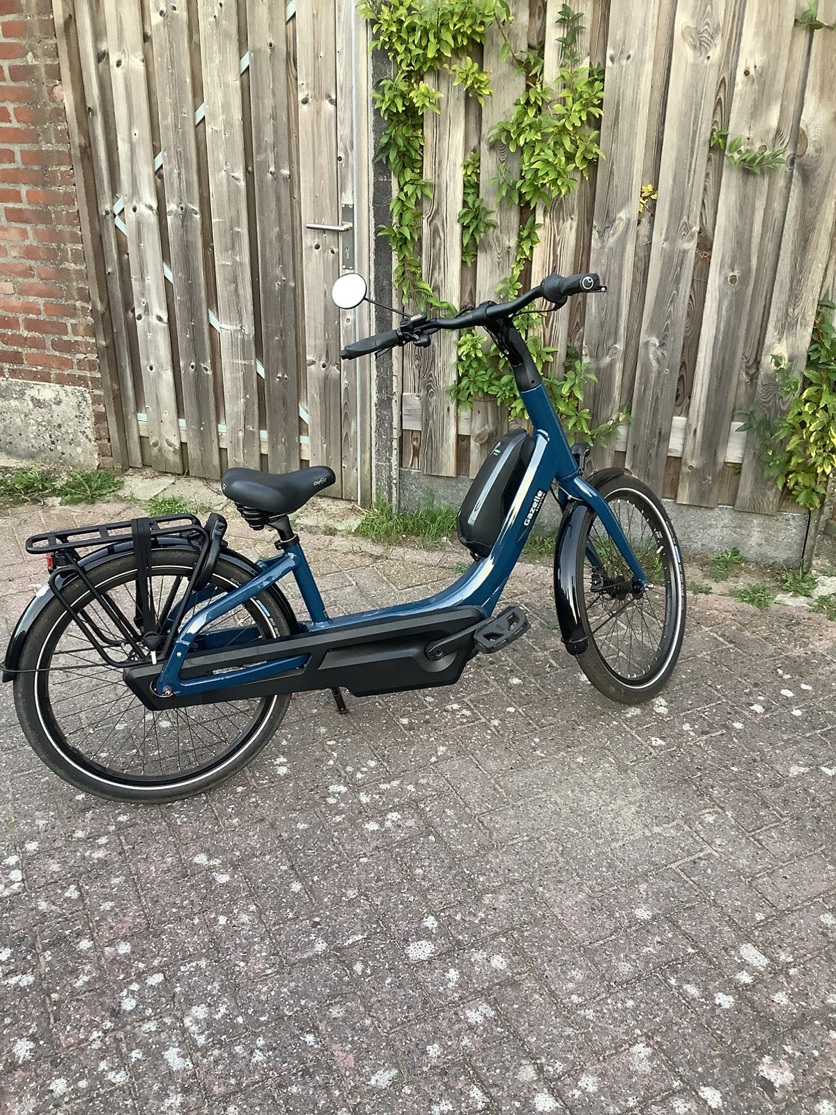 Gazelle Easyflow