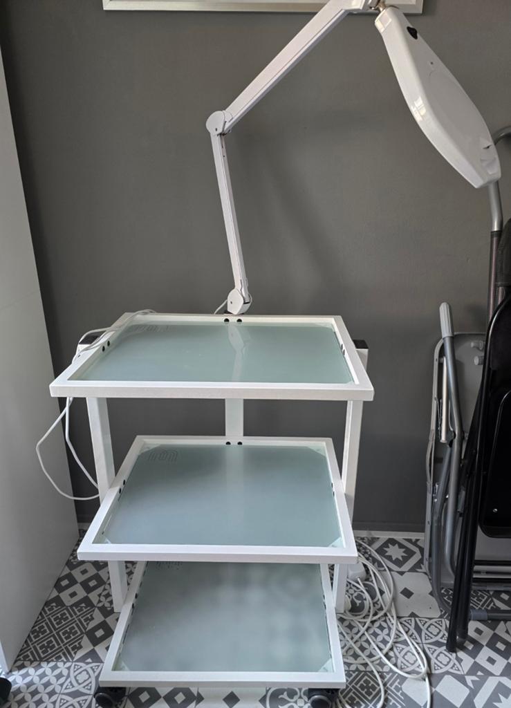 Werktafel met zwenkbare loeplamp - Ideaal voor precisiewerk, Ophalen, Gebruikt