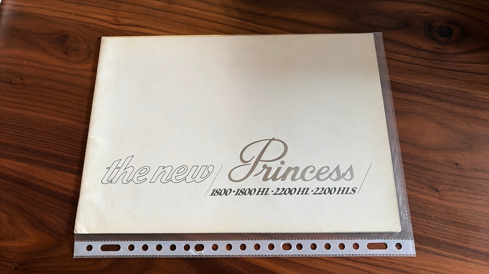 Princess brochure, Boeken, Ophalen of Verzenden, Gelezen, Overige merken