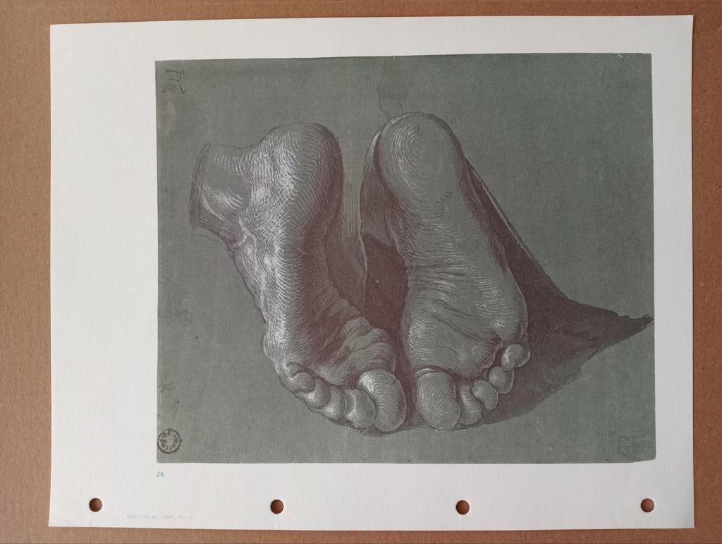 Albrecht Dürer offset prent Voeten, Ophalen of Verzenden