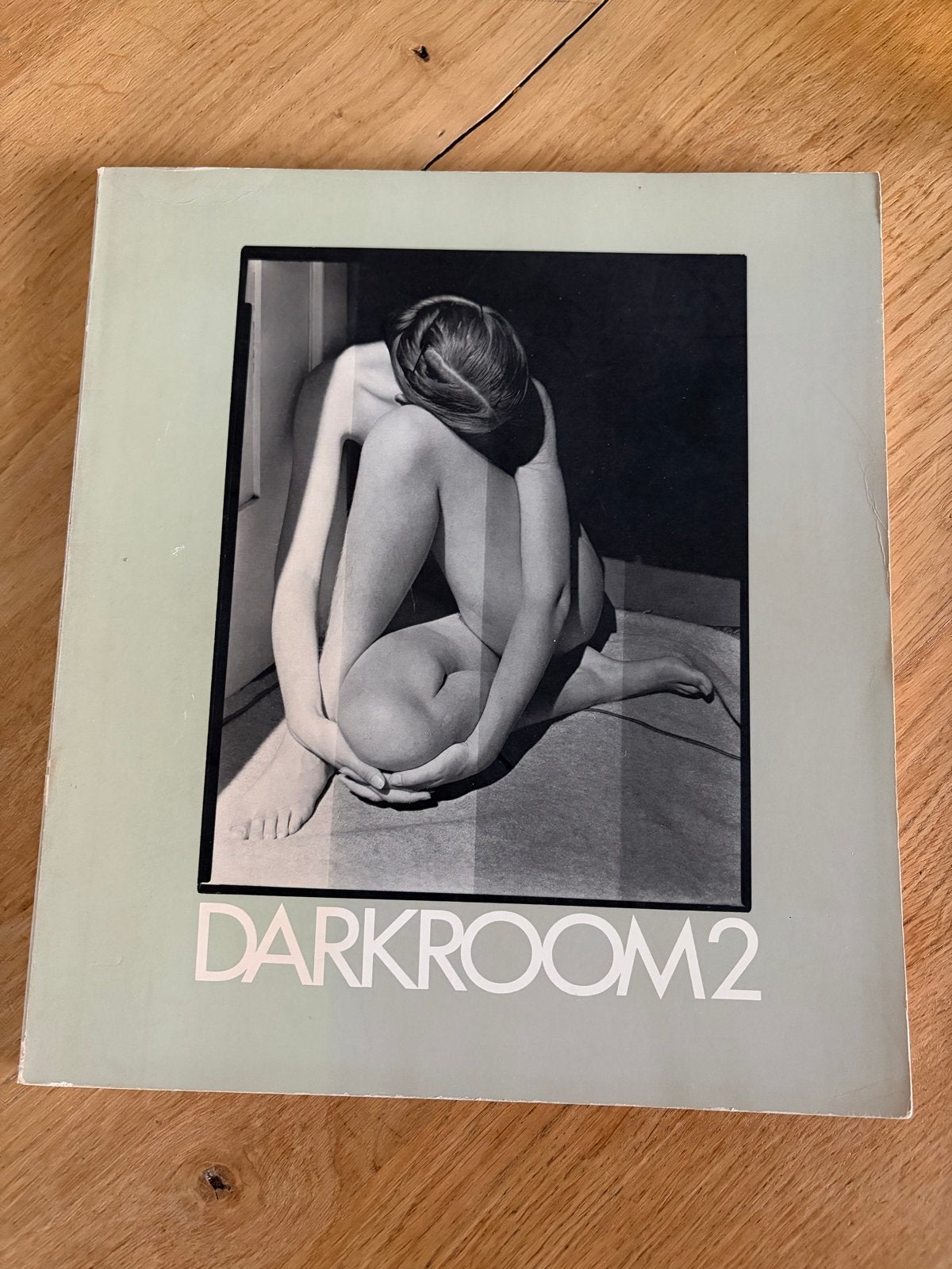 Fotoboek Darkroom 2 - samengesteld door Jain Kelly, Boeken, Ophalen of Verzenden, Gelezen, Fotografie algemeen
