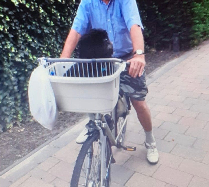 Hondenfietsmand voor kleine honden - Voorop de fiets, Fietsen en Brommers, Fietsaccessoires | Fietsmanden, Ophalen of Verzenden