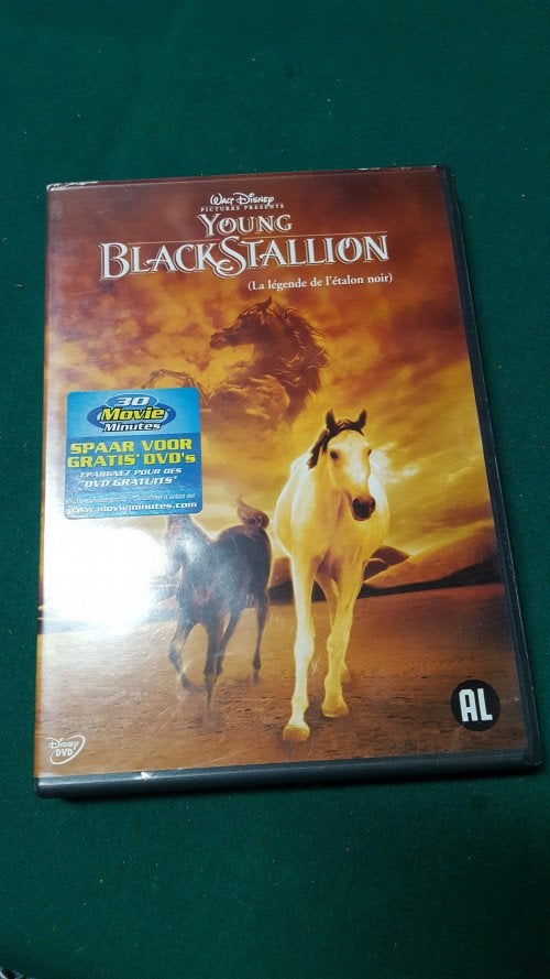 dvd young blackstallion, Ophalen of Verzenden