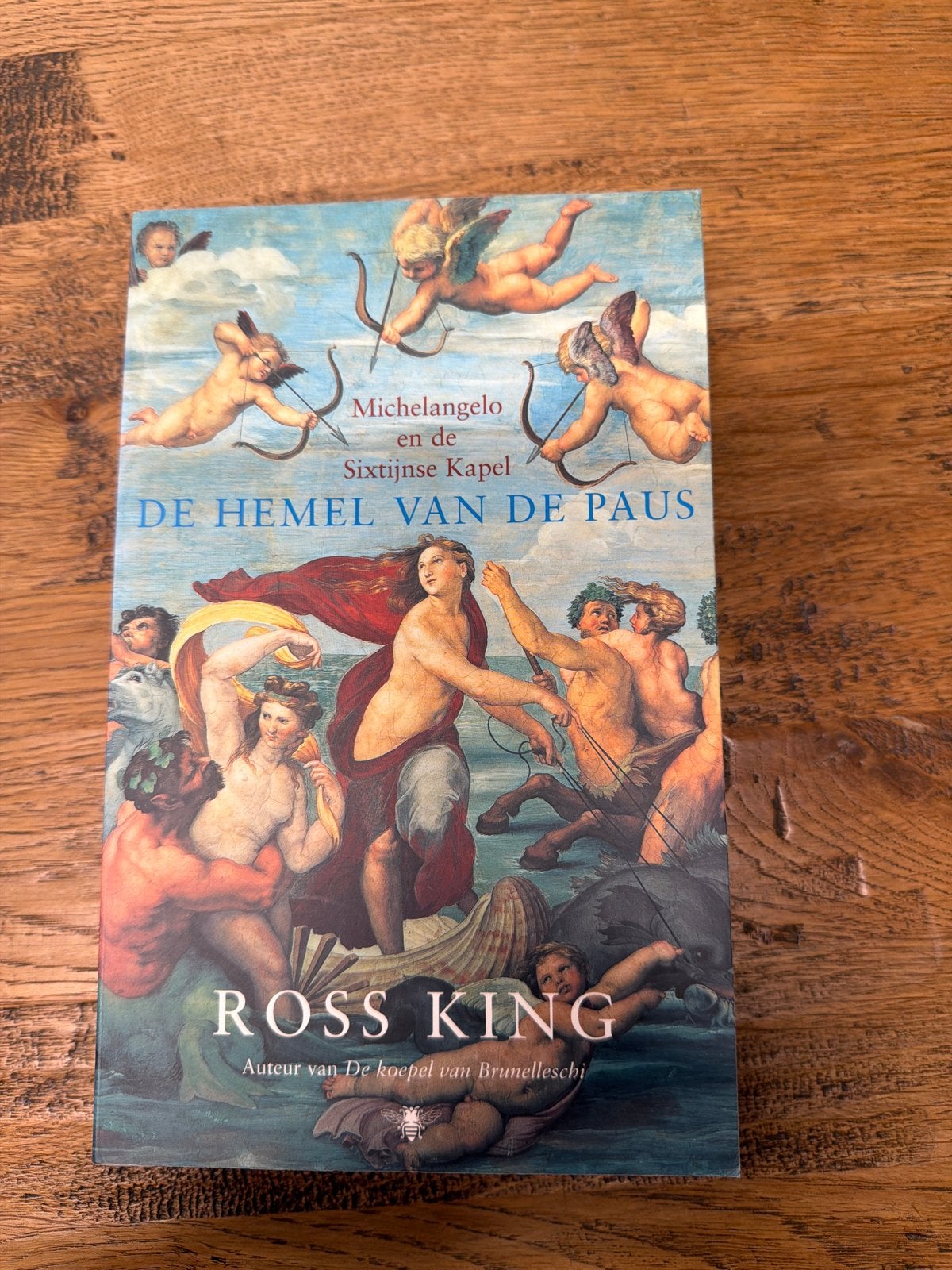 Michelangelo en de Sixtijnse Kapel - De hemel van de Paus, Ophalen of Verzenden, Zo goed als nieuw, Schilder- en Tekenkunst
