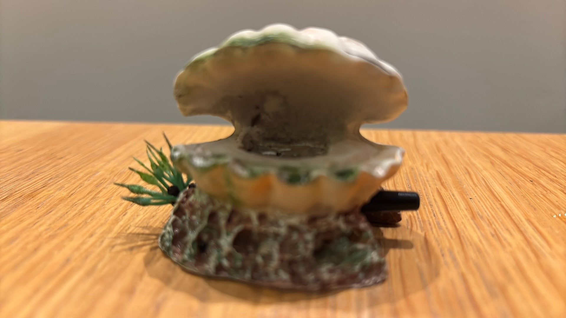 Oester, Ophalen of Verzenden, Gebruikt
