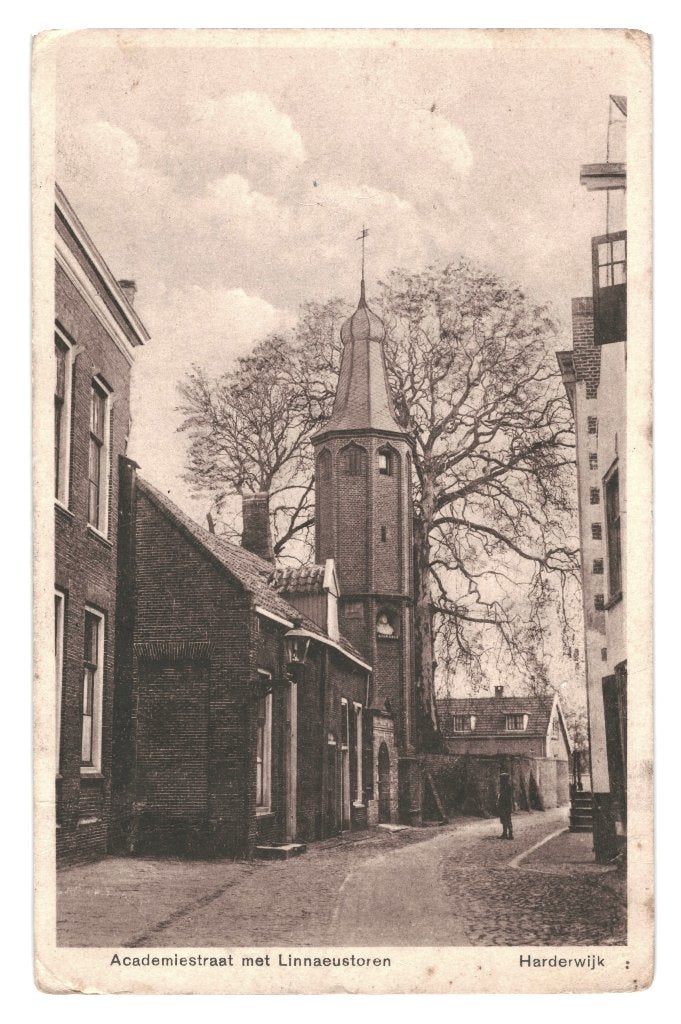 940644	Harderwijk	Linnaeustoren	jr 30	postzegel afgeweekt