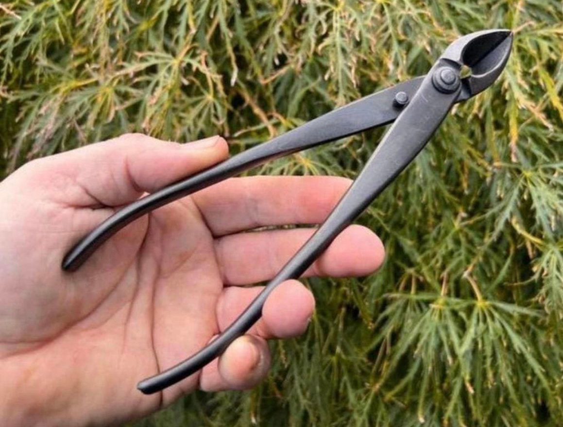 Bonsai Concaaftang lengte 21 centimeter Chinees gereedschap., Ophalen of Verzenden, Nieuw
