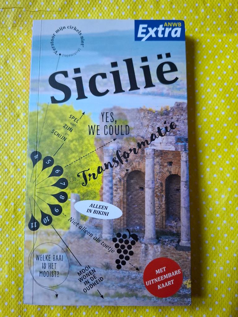 ANWB reisgids Sicilië met plattegrond 2024 editie !, Boeken, Gelezen, Europa, Ophalen of Verzenden, Reisgids of -boek