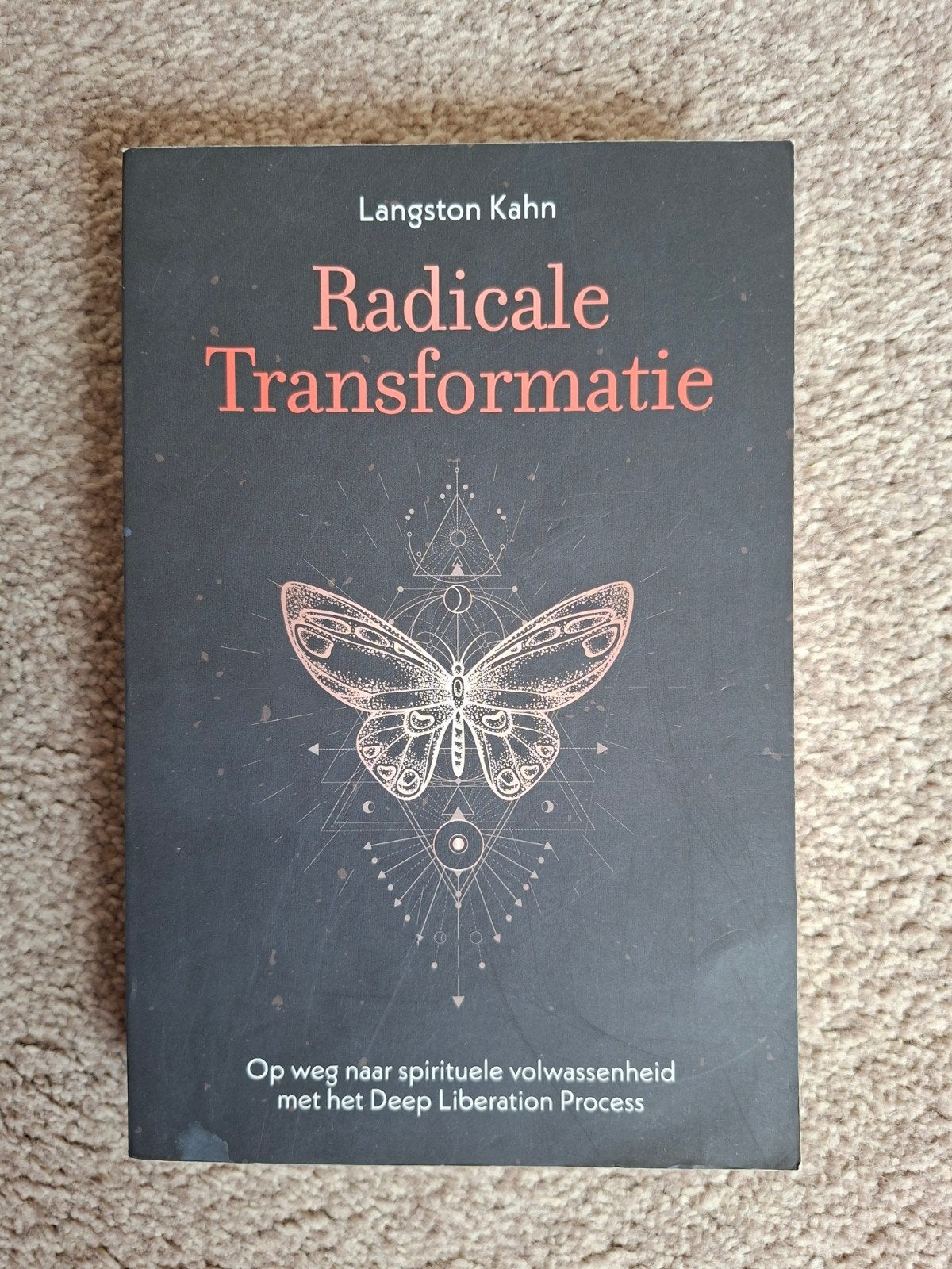 Langston Kahn - Radicale transformatie, Boeken, Langston Kahn, Achtergrond en Informatie, Spiritualiteit algemeen, Ophalen of Verzenden