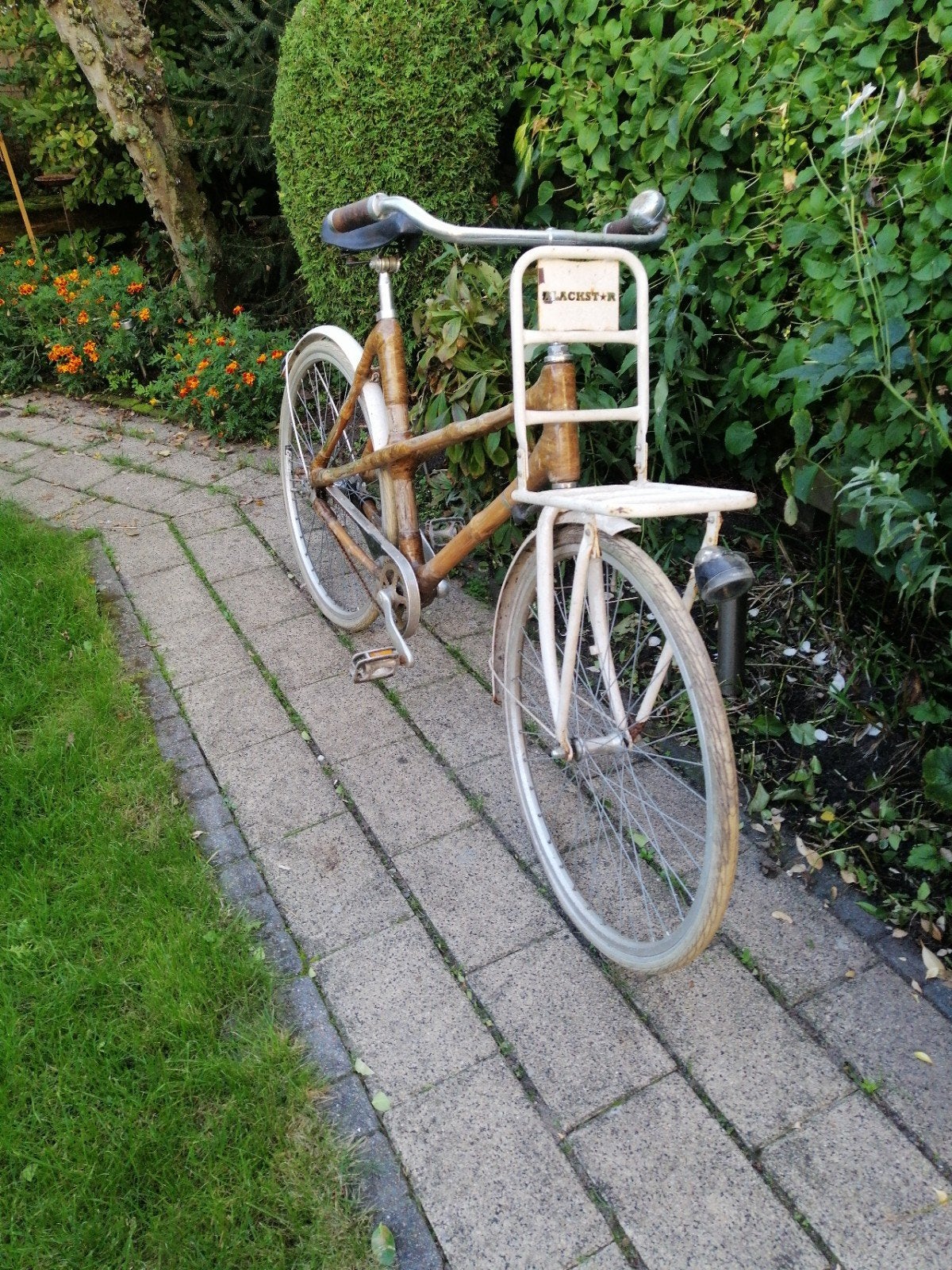zgn bamboe fiets met voordrager - Opknapper, Velgrem, Ophalen, Overige merken, 53 tot 56 cm