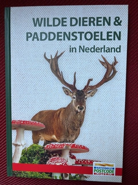 Wilde Dieren & Paddenstoelen In Nederland + Veldgids. NIEUW., Ophalen of Verzenden, Nieuw, Natuur algemeen, Chris Gibson, Shelley Evans & Geoffrey Kibby