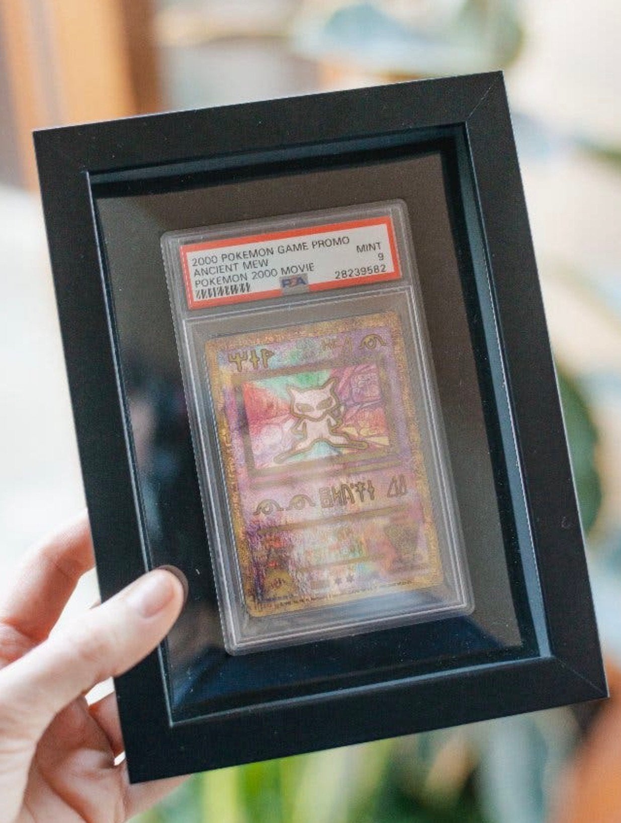 Frames voor pokemon TCG!, Ophalen of Verzenden, Zo goed als nieuw