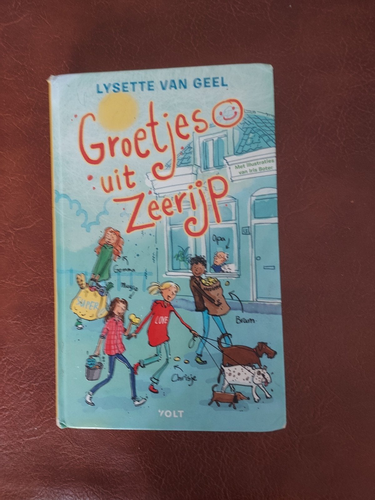 Groetjes uit Zeerijp - Lysette van Geel (kinderboek), Ophalen of Verzenden