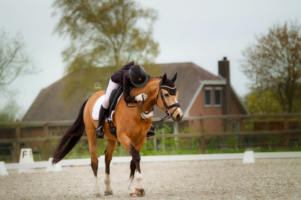 dieren fotograaf, Ophalen of Verzenden, Overige Merken, 8 keer of meer
