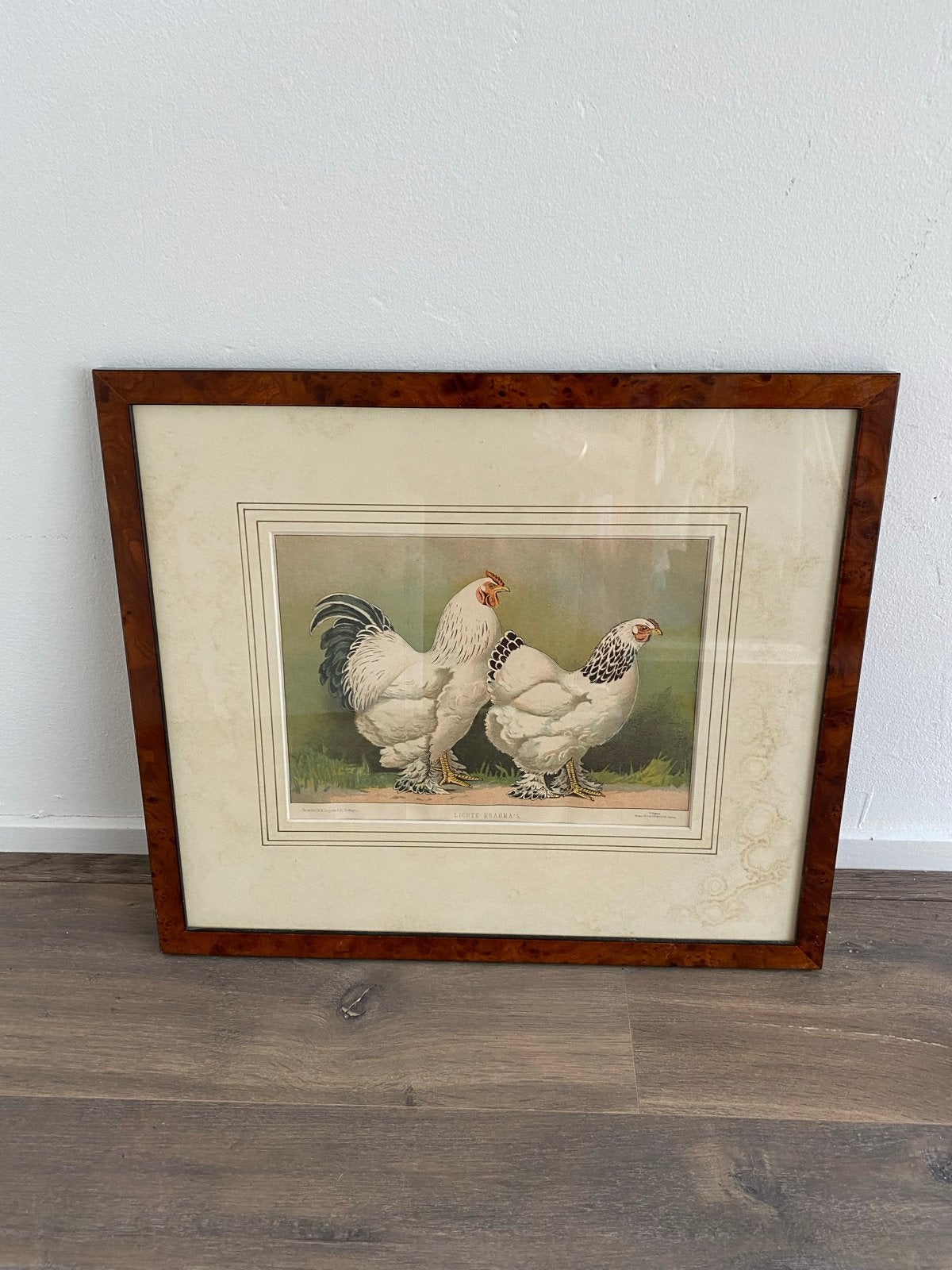 Antieke print van kippen in lijst, Huis en Inrichting, Ophalen, 50 – 75, 50 tot 75 cm, Print