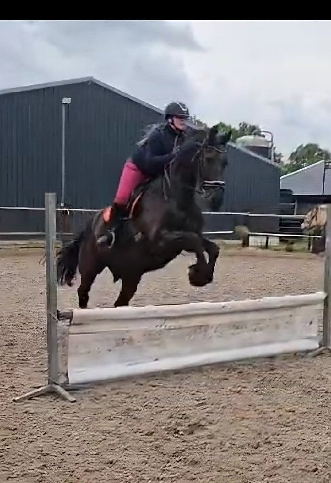 Verzorg paard/paarden /pony's gezocht verzorger aangeboden, Ophalen of Verzenden