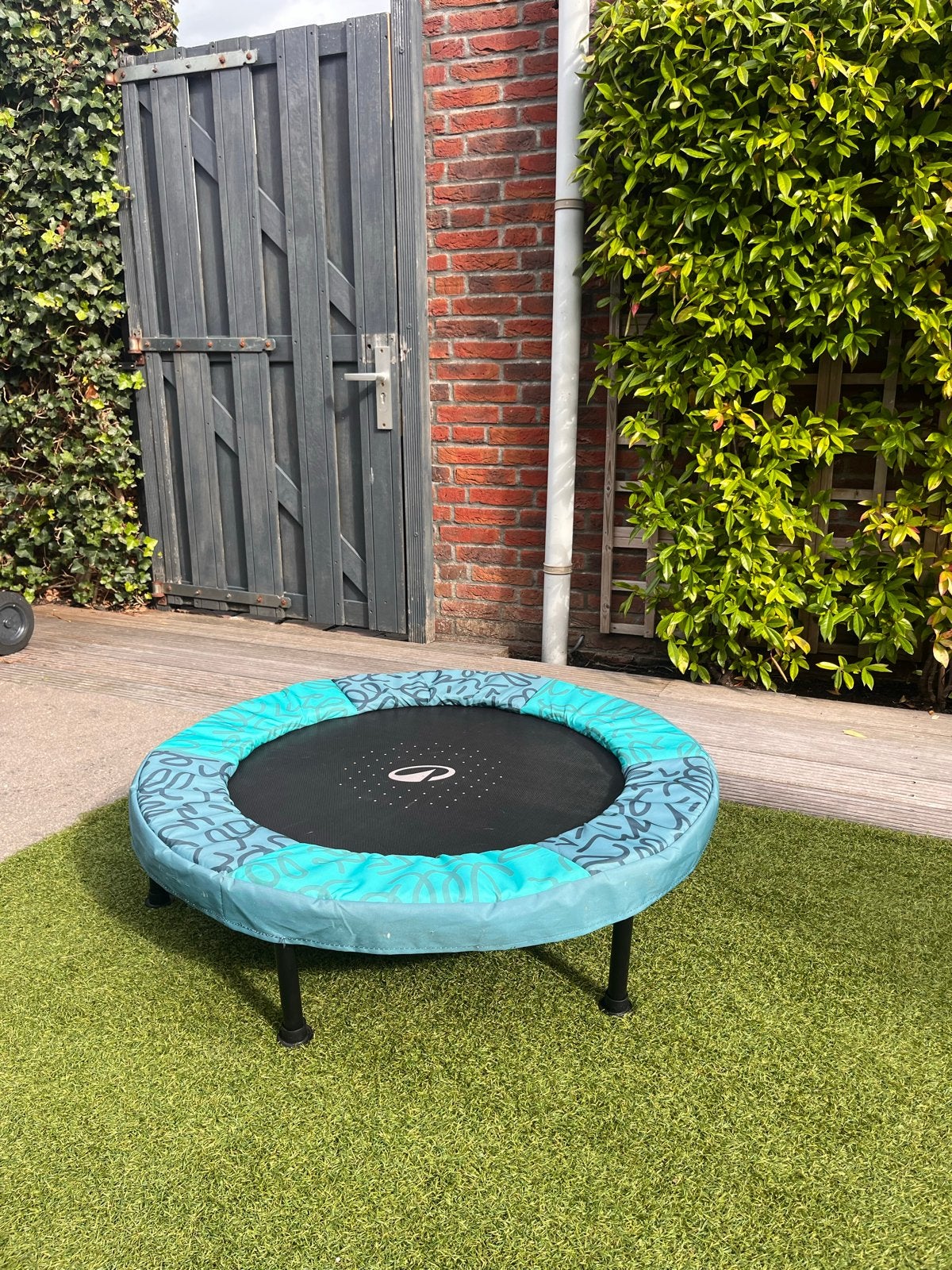 Domyos Minitrampoline - Zo goed als nieuw, Ophalen, Zo goed als nieuw