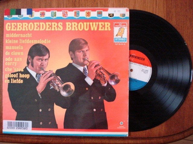 Gebroeders Brouwer, Ophalen of Verzenden, Gebruikt, 12 inch