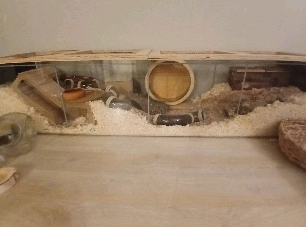hamster verblijf met spulletjes, Dieren en Toebehoren, Knaagdieren en Konijnen | Hokken en Kooien, Ophalen