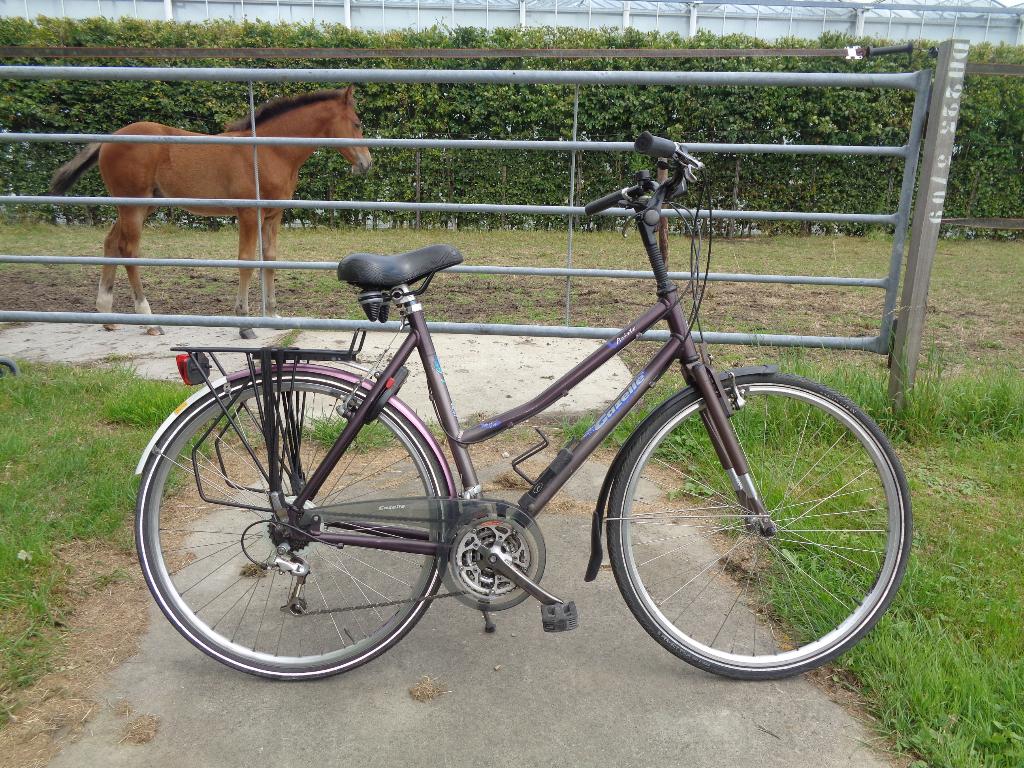 Gazelle Aristo damesfiets - 8 versn. / 57 frame / 28 inch -, Ophalen, Gebruikt, Velgrem, Versnellingen