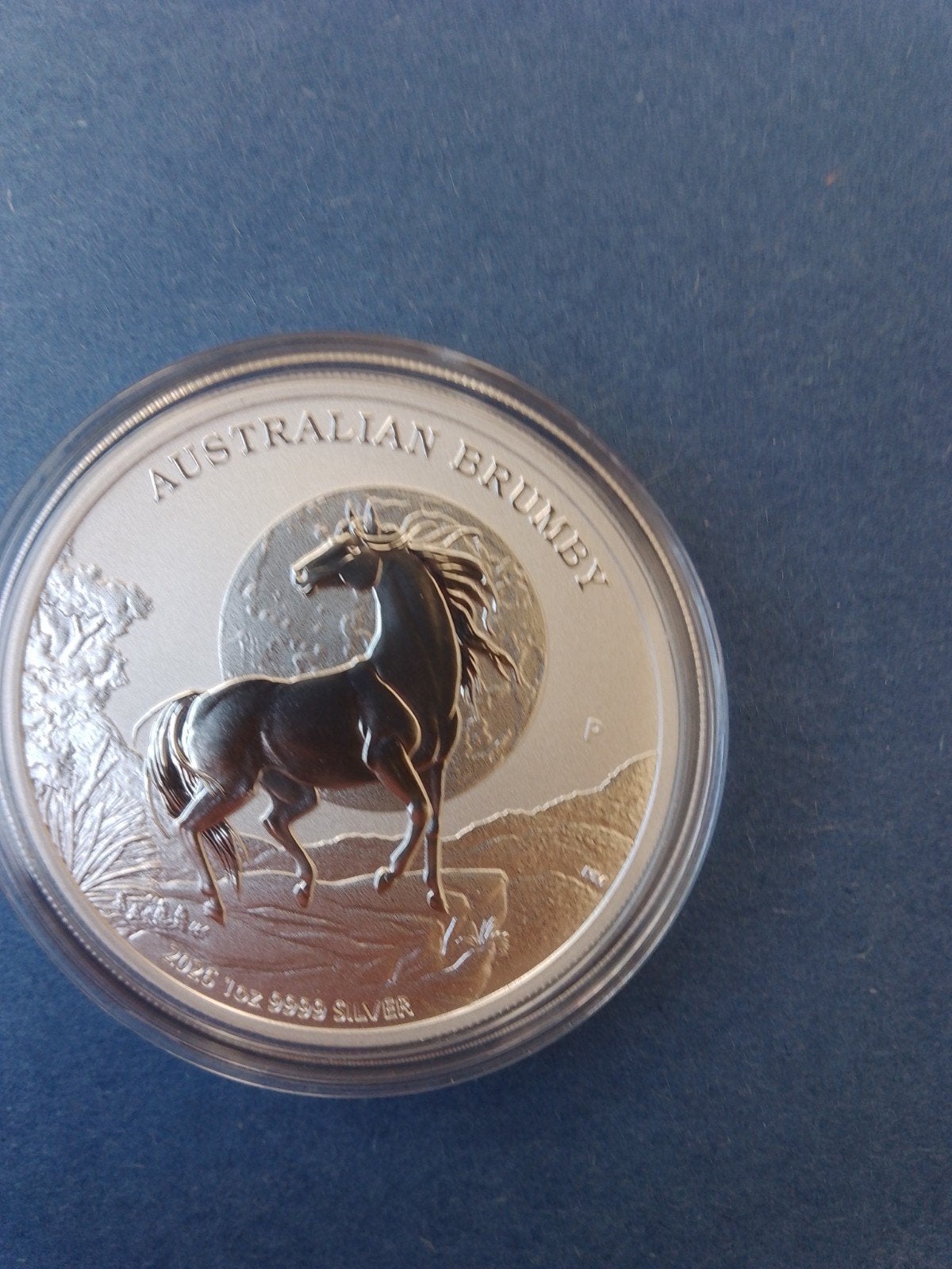 brumby horse 2026 1 oz zilver, Ophalen of Verzenden, Zilver