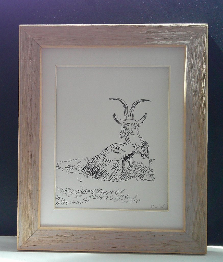 Siësta, Ophalen of Verzenden, Papier/karton, Overige technieken, Dieren