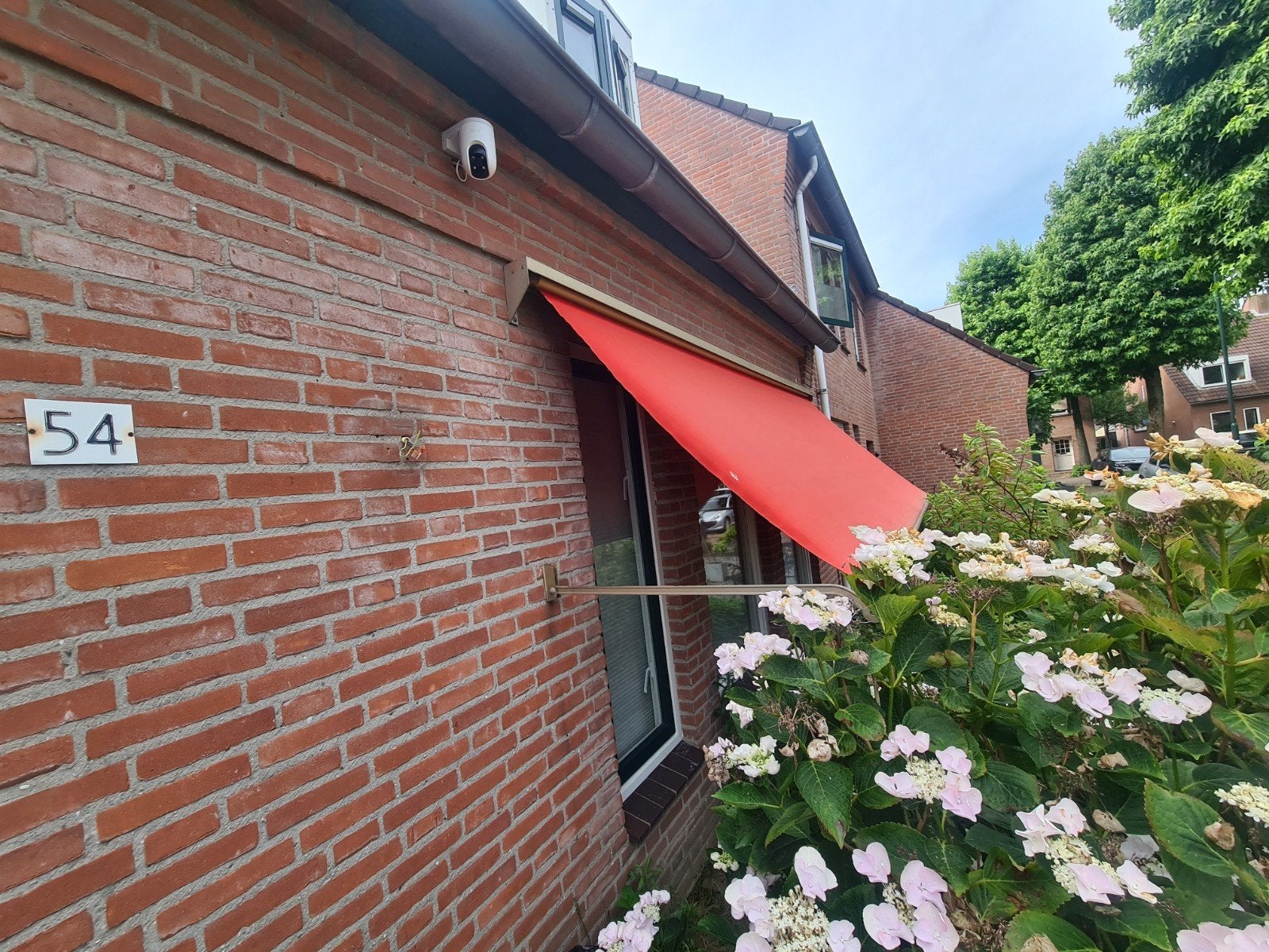 Rood uitvalscherm voor raam, Ophalen, Gebruikt, Minder dan 250 cm, Uitvalscherm