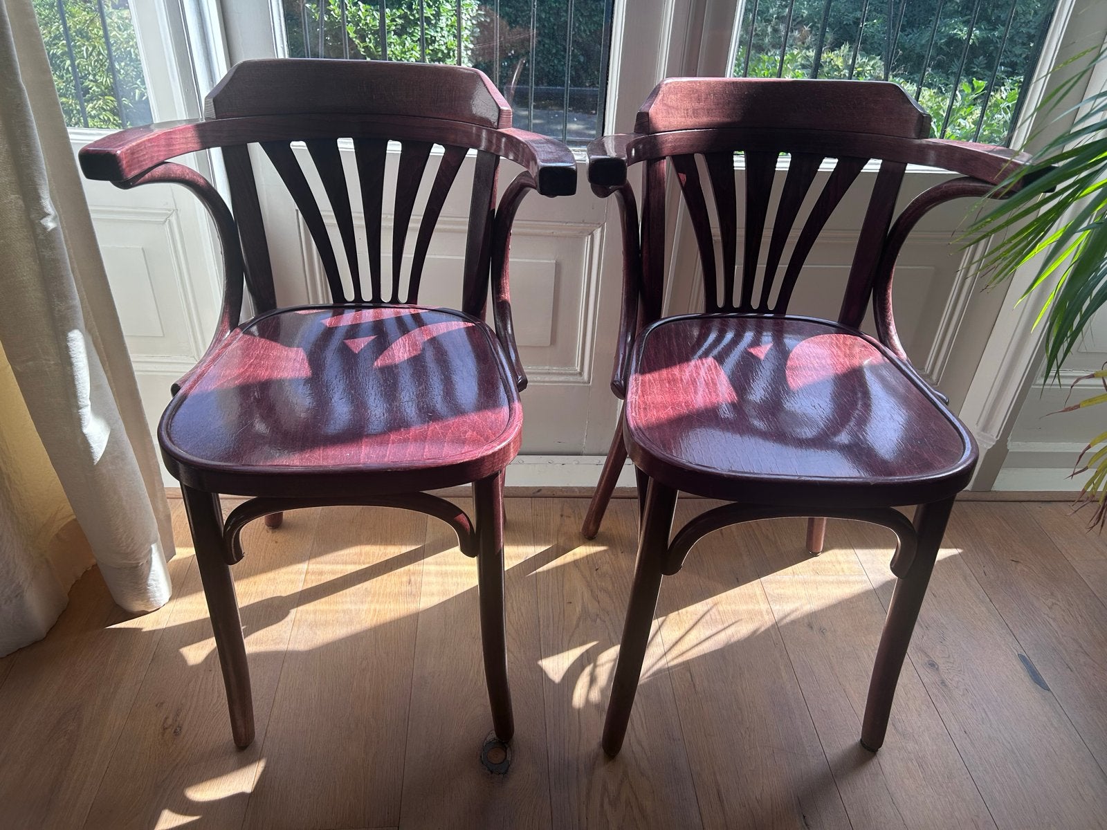 Set van 2 vintage Thonet stoelen met armleuningen, Ophalen