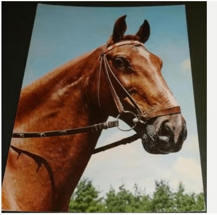 Paarden - Skorpion, Verzenden, 1960 tot 1980, Gelopen, Paard