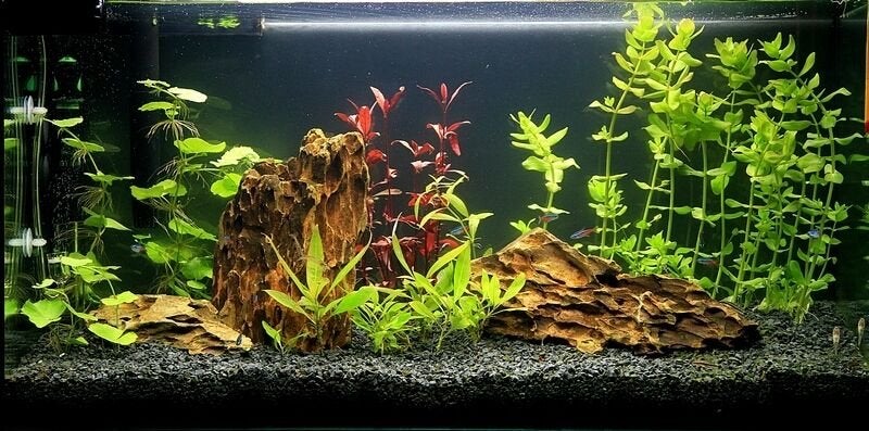 Mooi Aquarium 90L zwart, Ophalen of Verzenden, Zo goed als nieuw, Leeg aquarium