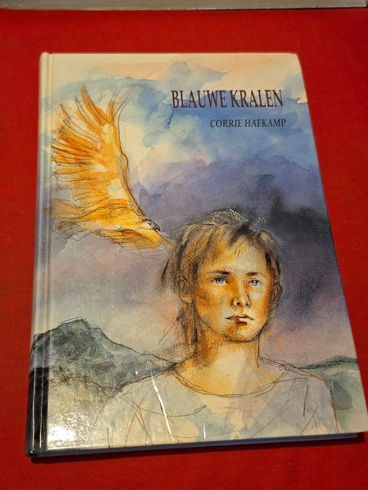 GESIGNEERD Blauwe kralen. Corrie Hafkamp., Ophalen of Verzenden, Gelezen, Fictie algemeen