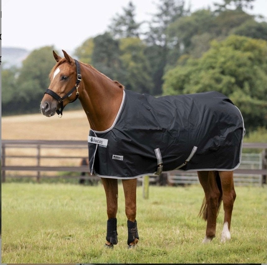 bucas anniversary regendeken 0 gram stay dry 145/195, Bucas, Ophalen of Verzenden, Zo goed als nieuw, Overige maten