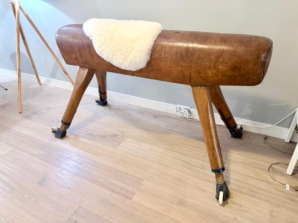 Authentiek vintage turnpaard gympaard prachtig geleefd leer, Maat 36 t/m 42, Ophalen of Verzenden, Zo goed als nieuw, Materiaal